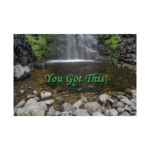 Motivational Poster - You Got This!